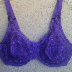38 D purple bra.